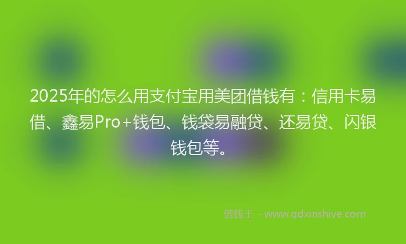 2025年的怎么用支付宝用美团借钱有：信用卡易借、鑫易Pro+钱包、钱袋易融贷、还易贷、闪银钱包等。