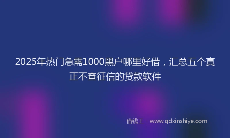 2025年热门急需1000黑户哪里好借，汇总五个真正不查征信的贷款软件