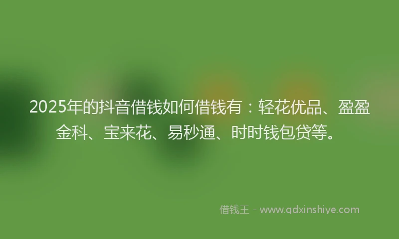 2025年的抖音借钱如何借钱有：轻花优品、盈盈金科、宝来花、易秒通、时时钱包贷等。