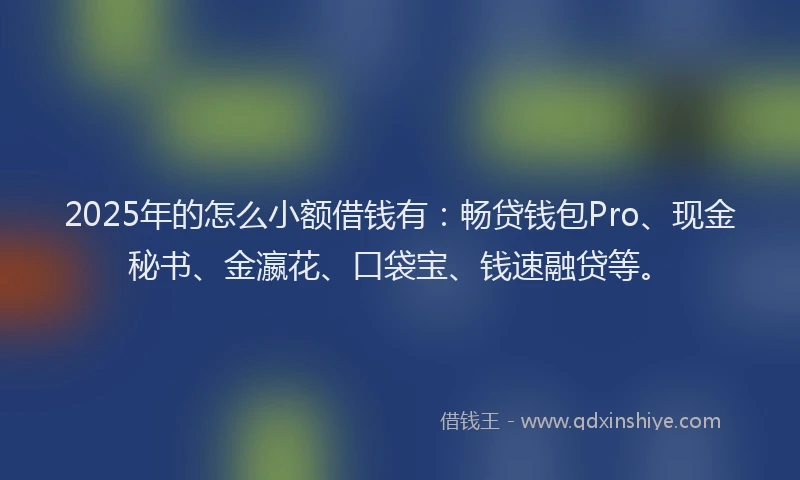 2025年的怎么小额借钱有：畅贷钱包Pro、现金秘书、金瀛花、口袋宝、钱速融贷等。