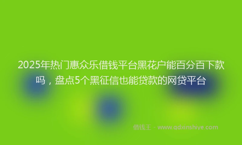 2025年热门惠众乐借钱平台黑花户能百分百下款吗，盘点5个黑征信也能贷款的网贷平台