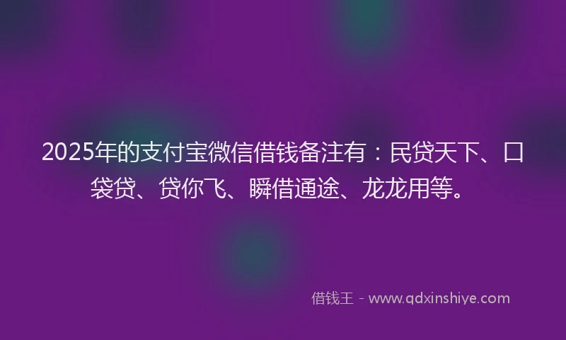 2025年的支付宝微信借钱备注有：民贷天下、口袋贷、贷你飞、瞬借通途、龙龙用等。