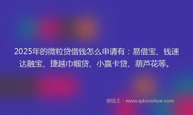 2025年的微粒贷借钱怎么申请有：易借宝、钱速达融宝、捷越巾帼贷、小赢卡贷、葫芦花等。