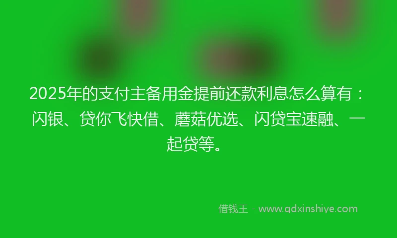 2025年的支付主备用金提前还款利息怎么算有：闪银、贷你飞快借、蘑菇优选、闪贷宝速融、一起贷等。