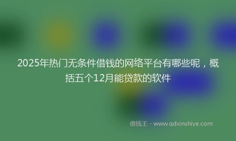 2025年热门无条件借钱的网络平台有哪些呢，概括五个12月能贷款的软件