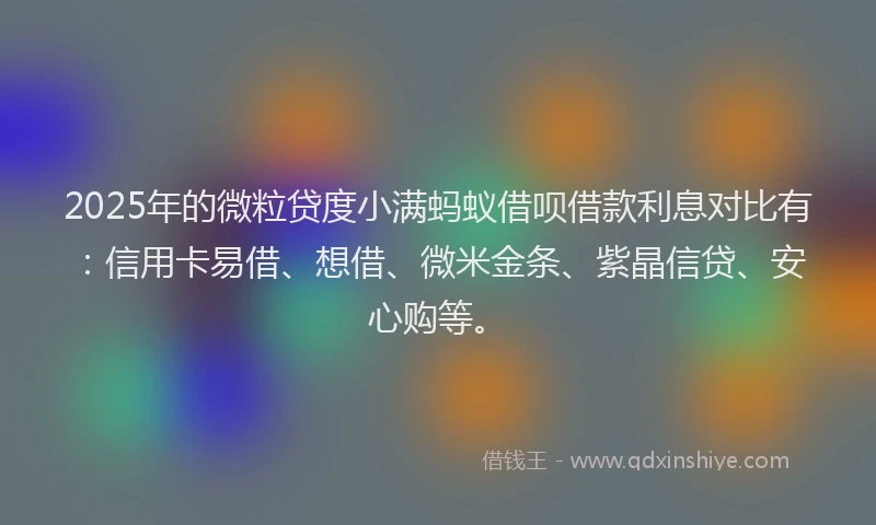 2025年的微粒贷度小满蚂蚁借呗借款利息对比有：信用卡易借、想借、微米金条、紫晶信贷、安心购等。