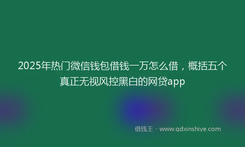 2025年热门微信钱包借钱一万怎么借，概括五个真正无视风控黑白的网贷app