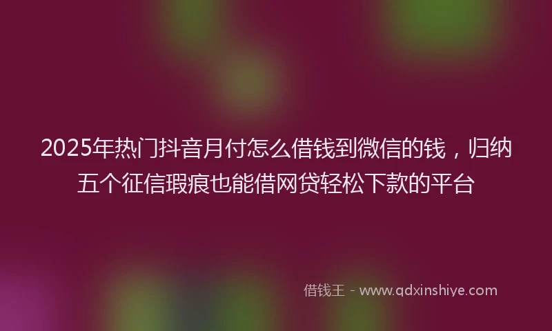 2025年热门抖音月付怎么借钱到微信的钱，归纳五个征信瑕疵也能借网贷轻松下款的平台