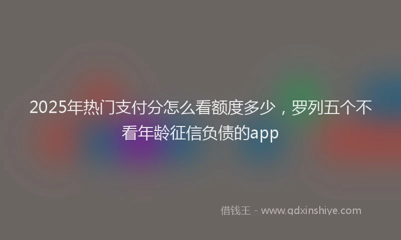 2025年热门支付分怎么看额度多少，罗列五个不看年龄征信负债的app