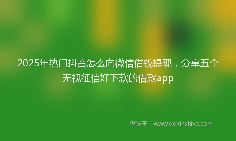 2025年热门抖音怎么向微信借钱提现，分享五个无视征信好下款的借款app