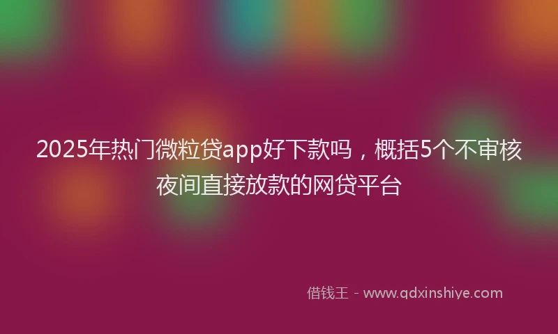 2025年热门微粒贷app好下款吗，概括5个不审核夜间直接放款的网贷平台