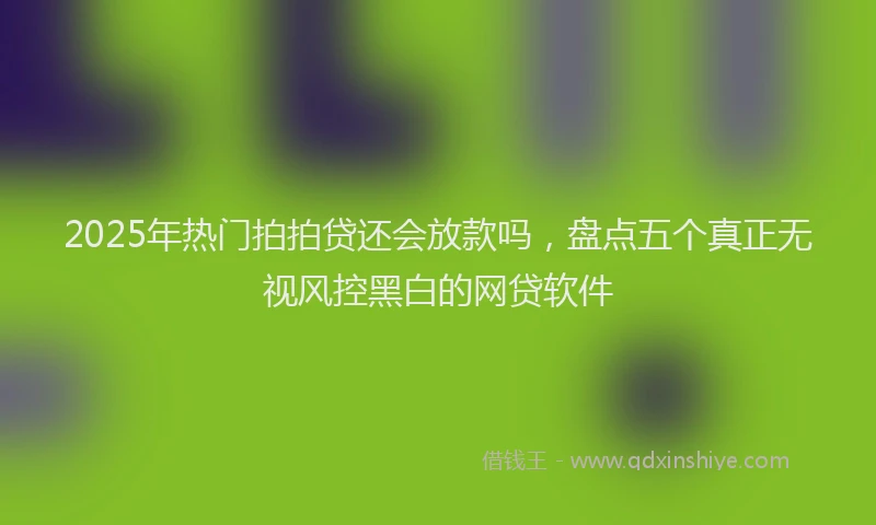 2025年热门拍拍贷还会放款吗，盘点五个真正无视风控黑白的网贷软件