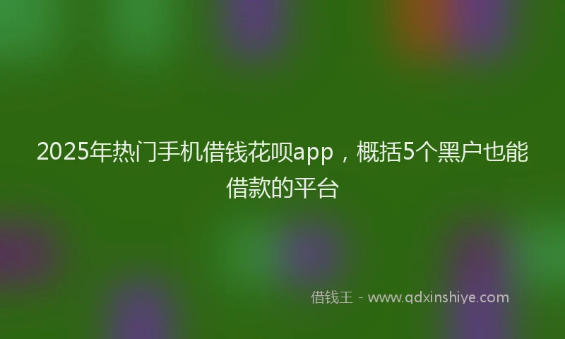 2025年热门手机借钱花呗app，概括5个黑户也能借款的平台