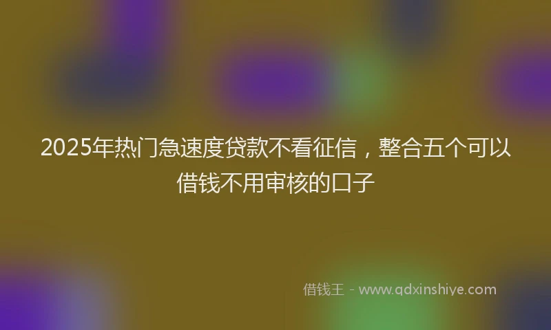 2025年热门急速度贷款不看征信，整合五个可以借钱不用审核的口子