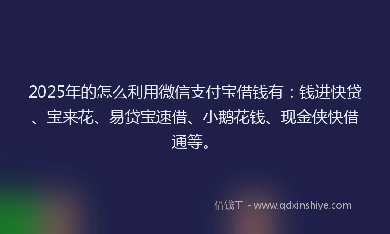 2025年的怎么利用微信支付宝借钱有：钱进快贷、宝来花、易贷宝速借、小鹅花钱、现金侠快借通等。