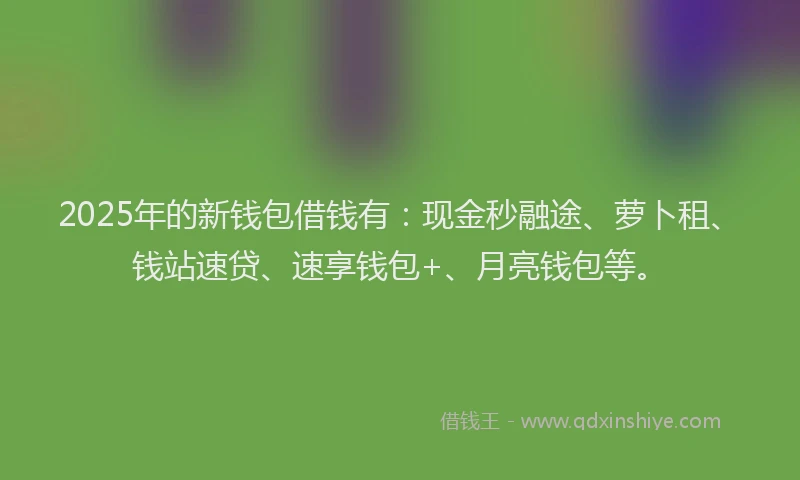 2025年的新钱包借钱有：现金秒融途、萝卜租、钱站速贷、速享钱包+、月亮钱包等。