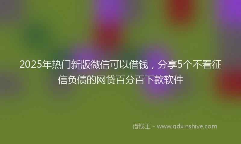 2025年热门新版微信可以借钱，分享5个不看征信负债的网贷百分百下款软件