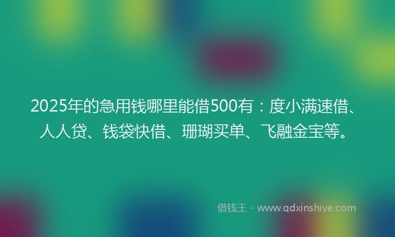2025年的急用钱哪里能借500有：度小满速借、人人贷、钱袋快借、珊瑚买单、飞融金宝等。