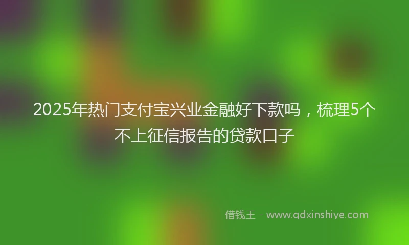 2025年热门支付宝兴业金融好下款吗，梳理5个不上征信报告的贷款口子