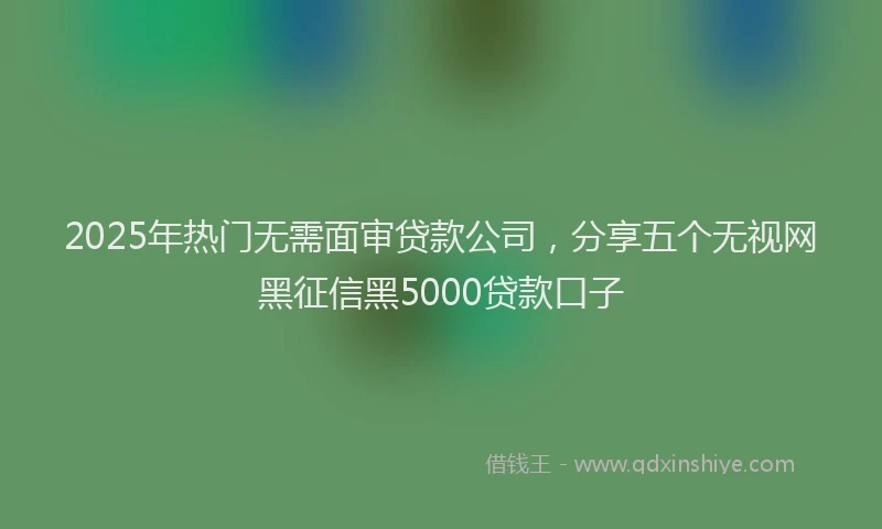 2025年热门无需面审贷款公司，分享五个无视网黑征信黑5000贷款口子