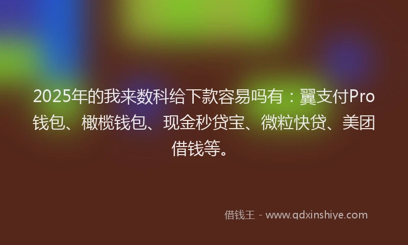 2025年的我来数科给下款容易吗有：翼支付Pro钱包、橄榄钱包、现金秒贷宝、微粒快贷、美团借钱等。