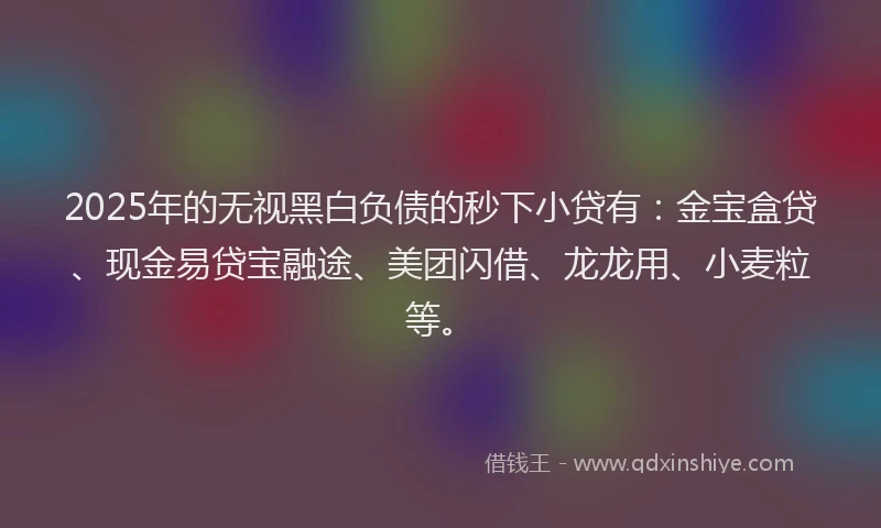 2025年的无视黑白负债的秒下小贷有：金宝盒贷、现金易贷宝融途、美团闪借、龙龙用、小麦粒等。