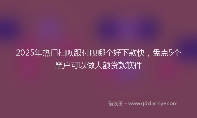 2025年热门扫呗跟付呗哪个好下款快，盘点5个黑户可以做大额贷款软件