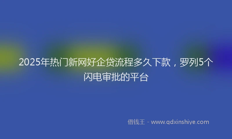 2025年热门新网好企贷流程多久下款，罗列5个闪电审批的平台