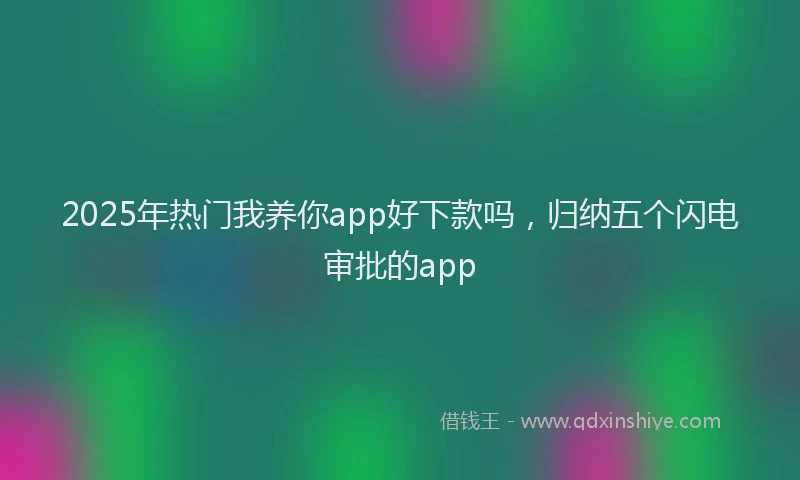 2025年热门我养你app好下款吗，归纳五个闪电审批的app