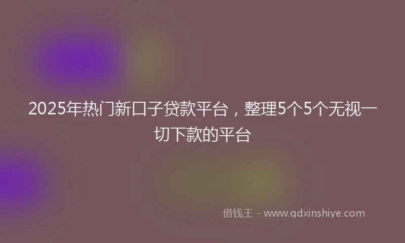 2025年热门新口子贷款平台，整理5个5个无视一切下款的平台