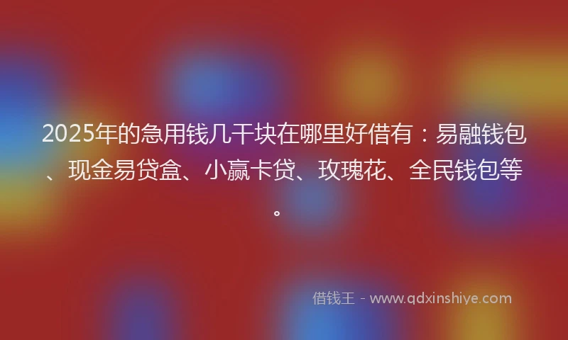 2025年的急用钱几干块在哪里好借有：易融钱包、现金易贷盒、小赢卡贷、玫瑰花、全民钱包等。