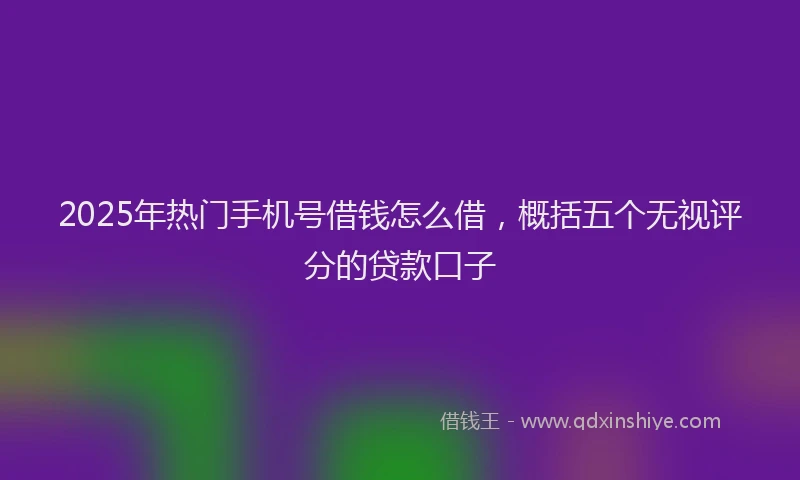 2025年热门手机号借钱怎么借，概括五个无视评分的贷款口子
