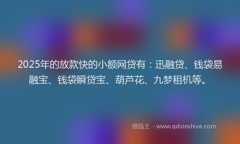 2025年的放款快的小额网贷有：迅融贷、钱袋易融宝、钱袋瞬贷宝、葫芦花、九梦租机等。