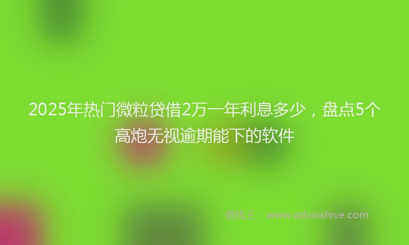 2025年热门微粒贷借2万一年利息多少，盘点5个高炮无视逾期能下的软件