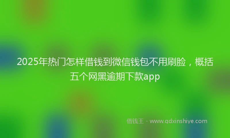 2025年热门怎样借钱到微信钱包不用刷脸，概括五个网黑逾期下款app