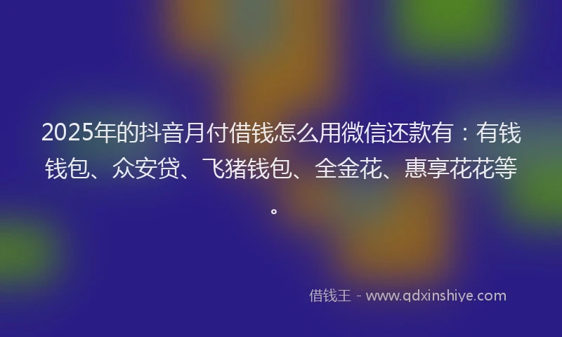 2025年的抖音月付借钱怎么用微信还款有：有钱钱包、众安贷、飞猪钱包、全金花、惠享花花等。