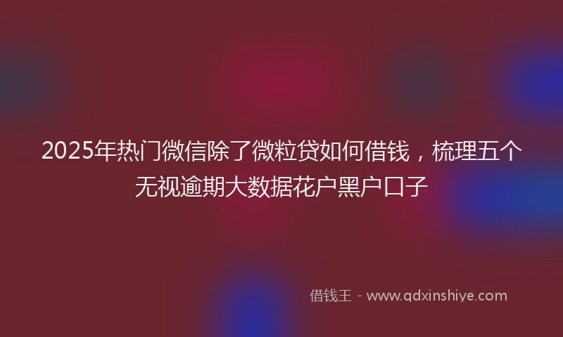 2025年热门微信除了微粒贷如何借钱，梳理五个无视逾期大数据花户黑户口子