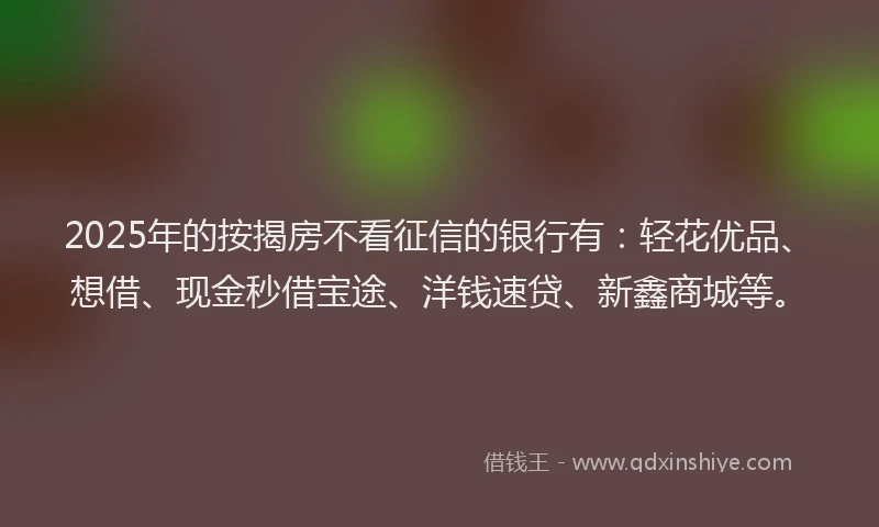 2025年的按揭房不看征信的银行有：轻花优品、想借、现金秒借宝途、洋钱速贷、新鑫商城等。