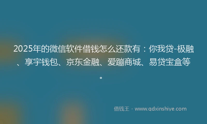 2025年的微信软件借钱怎么还款有：你我贷-极融、享宇钱包、京东金融、爱蹦商城、易贷宝盒等。