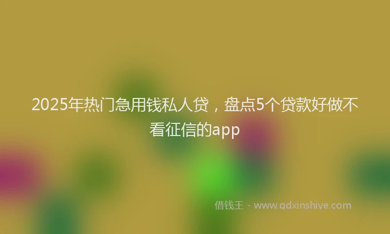 2025年热门急用钱私人贷，盘点5个贷款好做不看征信的app