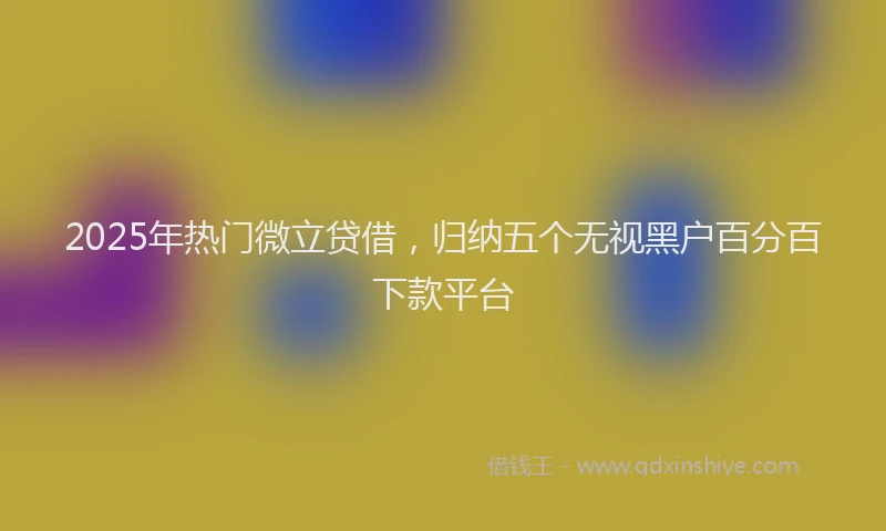 2025年热门微立贷借，归纳五个无视黑户百分百下款平台