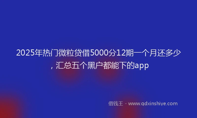 2025年热门微粒贷借5000分12期一个月还多少，汇总五个黑户都能下的app