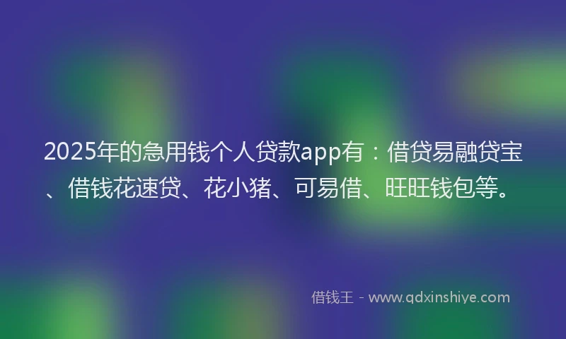 2025年的急用钱个人贷款app有：借贷易融贷宝、借钱花速贷、花小猪、可易借、旺旺钱包等。