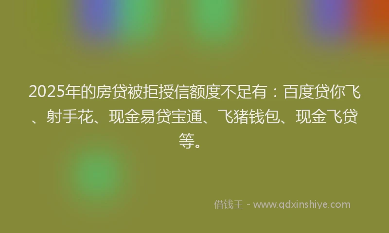 2025年的房贷被拒授信额度不足有：百度贷你飞、射手花、现金易贷宝通、飞猪钱包、现金飞贷等。