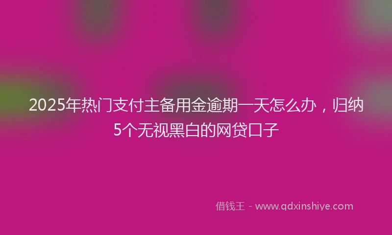 2025年热门支付主备用金逾期一天怎么办，归纳5个无视黑白的网贷口子