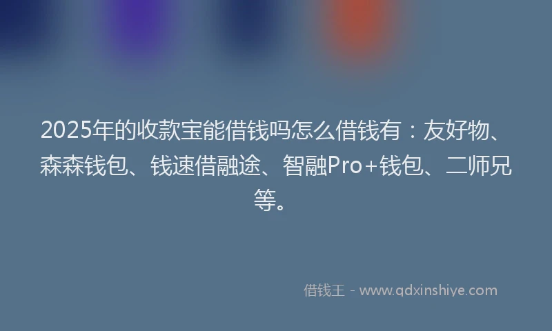 2025年的收款宝能借钱吗怎么借钱有：友好物、森森钱包、钱速借融途、智融Pro+钱包、二师兄等。
