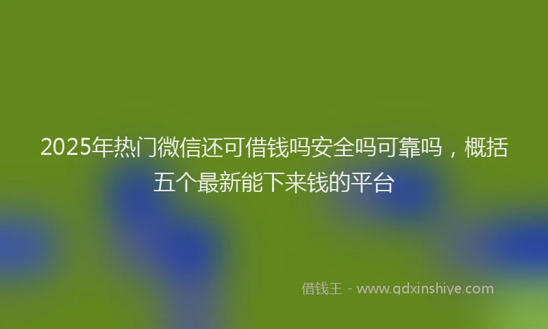 2025年热门微信还可借钱吗安全吗可靠吗，概括五个最新能下来钱的平台