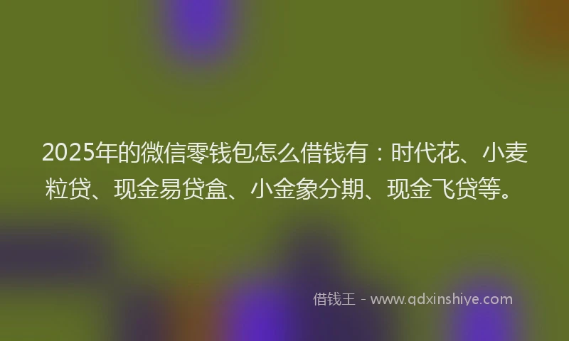 2025年的微信零钱包怎么借钱有：时代花、小麦粒贷、现金易贷盒、小金象分期、现金飞贷等。