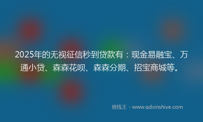2025年的无视征信秒到贷款有：现金易融宝、万通小贷、森森花呗、森森分期、招宝商城等。
