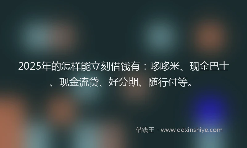 2025年的怎样能立刻借钱有：哆哆米、现金巴士、现金流贷、好分期、随行付等。